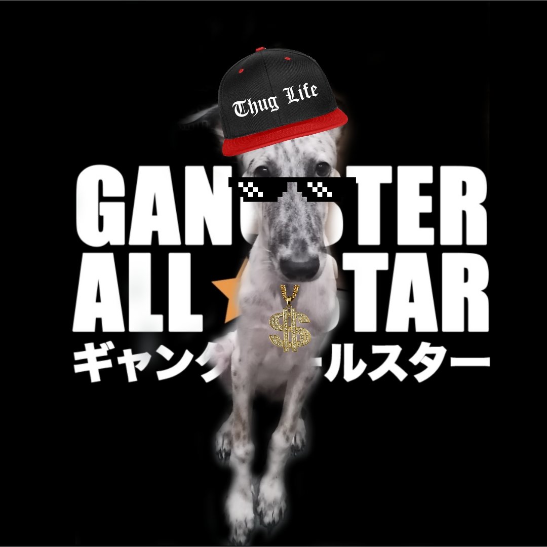 Locita88nft's tweet photo. My boy is asking if he can join the #Caramelogang? He's a boss outside but very sweet inside. 😎
@0xRimuru_eth @nftKenji @Khok_Ana_ @AcopVanisa @gloryfy_m @TylerD0001 @maia_simqt @LilDinosaur__ @GoalDigger_Nft @Garnet9899 @beebee_moo
#GASisWATCHING #GASCommunity #GAS #GASFamily https://t.co/ch8ywp5pug