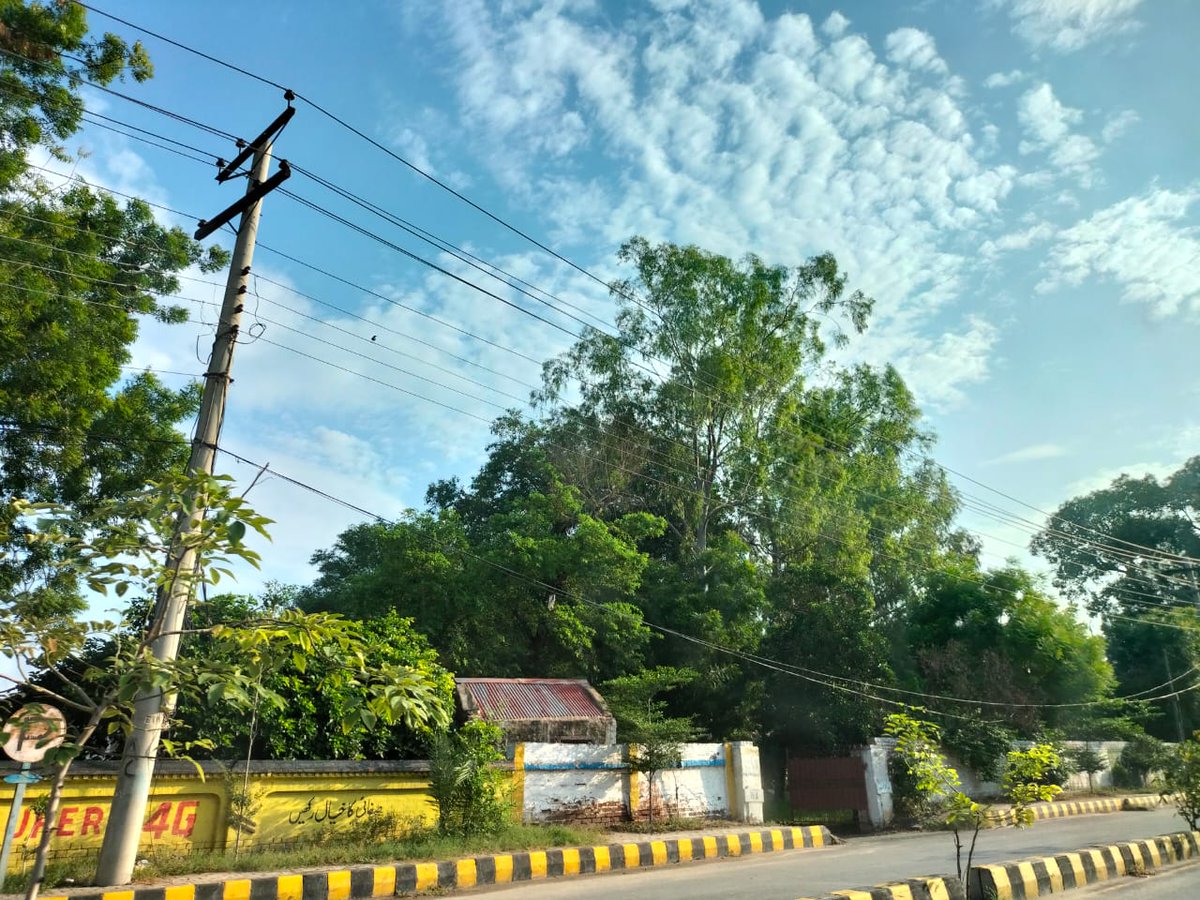 manal_idrees7's tweet photo. Multan weather being magical nowadays >>>>>
#Multan https://t.co/QNn6ZPqKZv