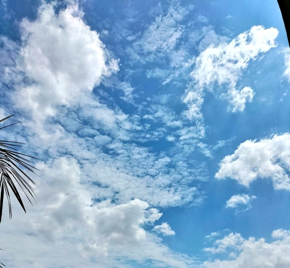 manal_idrees7's tweet photo. Multan weather being magical nowadays >>>>>
#Multan https://t.co/QNn6ZPqKZv