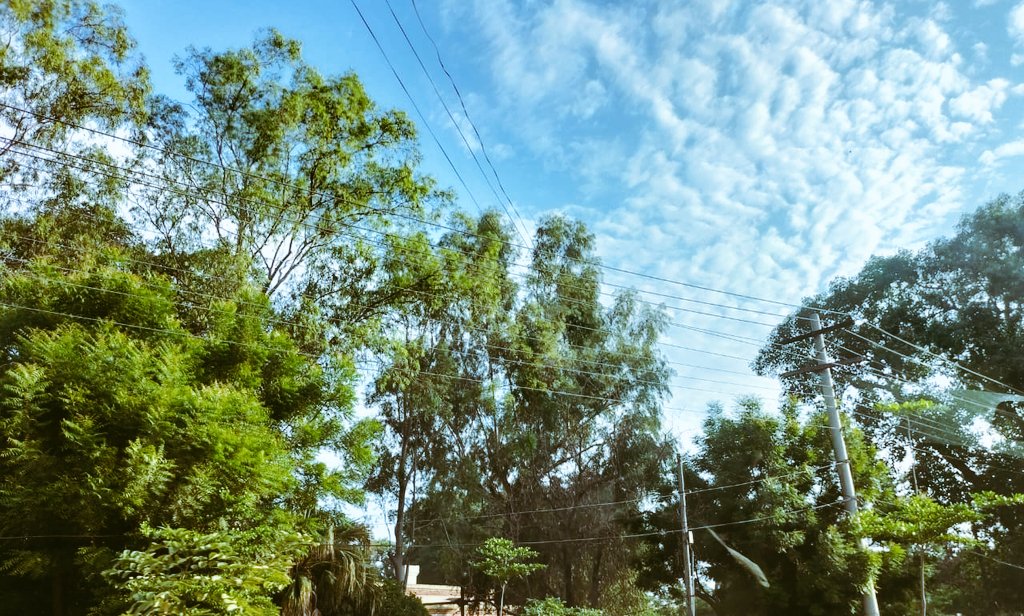 manal_idrees7's tweet photo. Multan weather being magical nowadays >>>>>
#Multan https://t.co/QNn6ZPqKZv