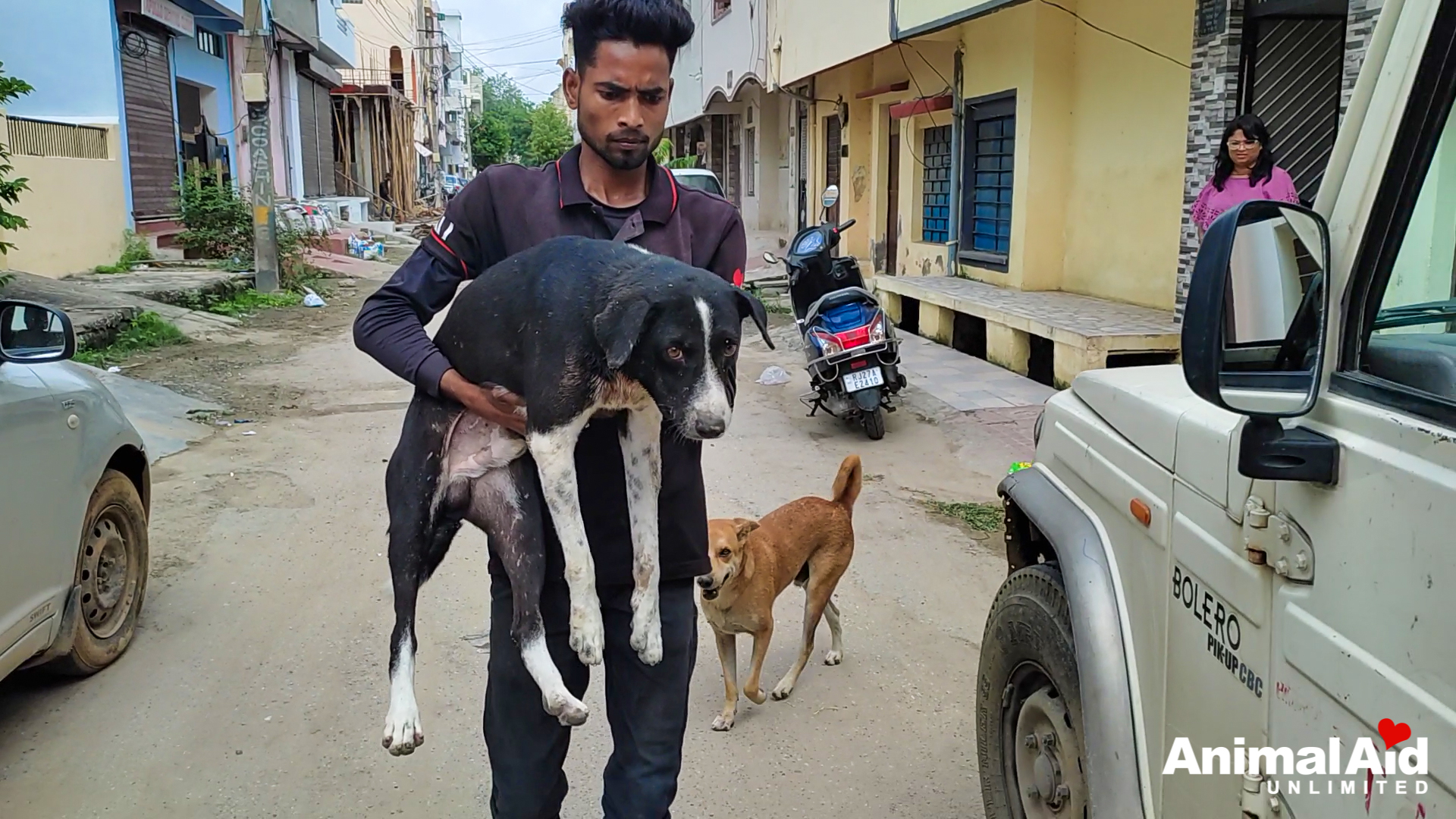 Animal Aid Unlimited on Twitter: Animal Aid Unlimited on Twitter: