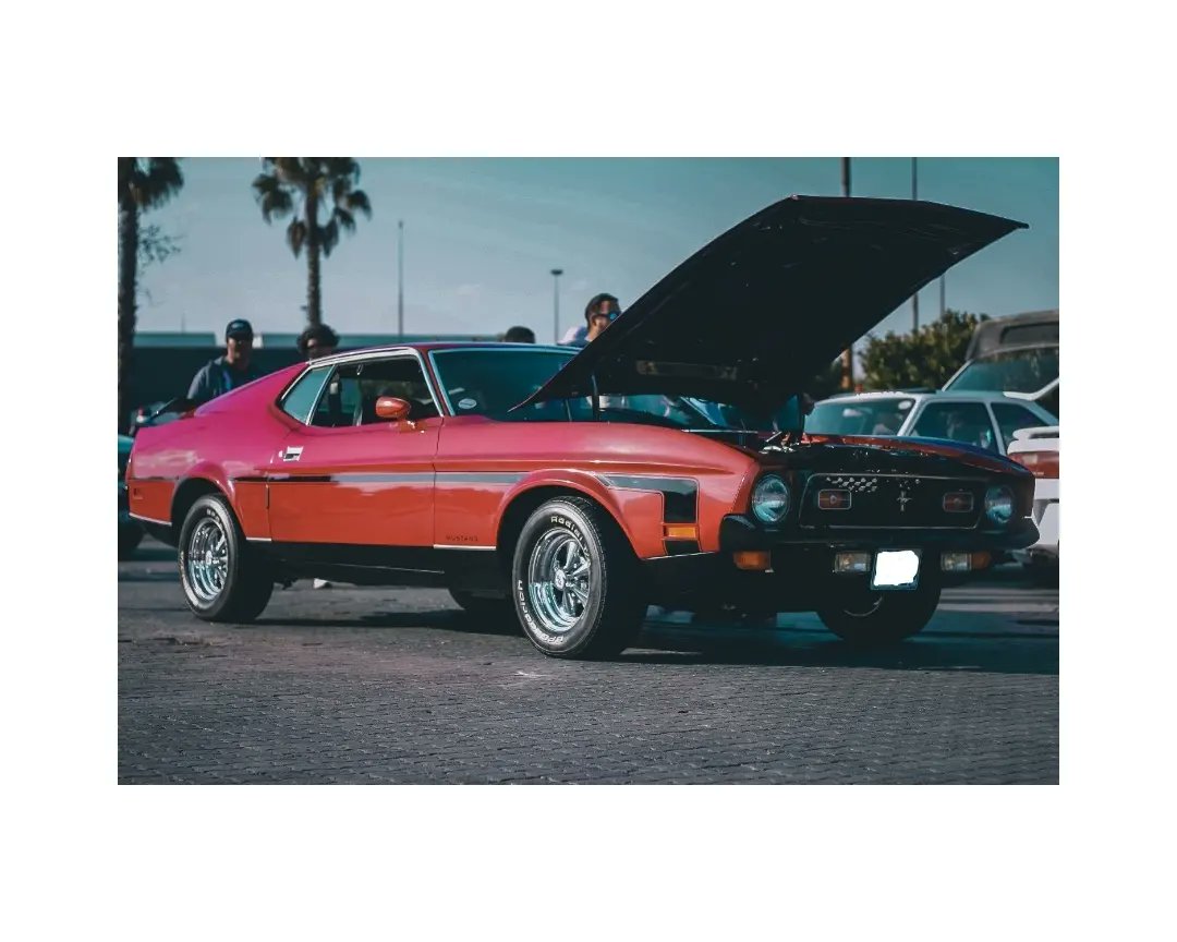 DotnetPhotos's tweet photo. More snaps from the GermanVsJap Car Show at Nasrec 📸
https://t.co/zgRgEgVwqq…
#GermanVsJap #Edition9 #SouthSideCrew https://t.co/hTtqM2RpHo