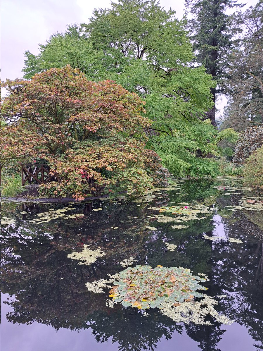DKnott8's tweet photo. Always good to visit @BenmoreBotGdn @TheBotanics with @Western_Ferries #botanicgarden #plantconservation https://t.co/BSYLboLdDN