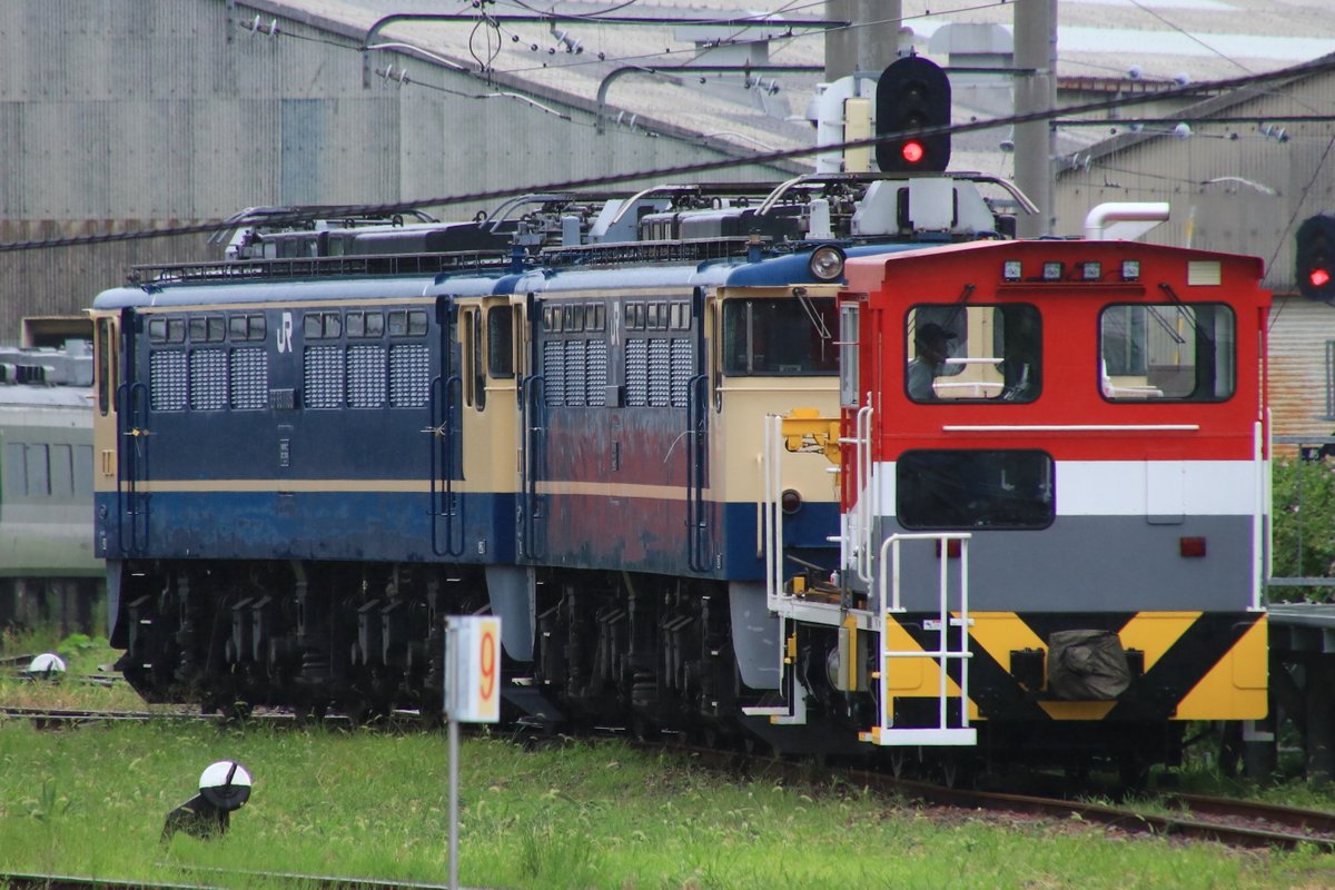 hyama5071's tweet image. 最後にEF65 1105+EF65 1104が移動。EF65 1105はｸﾓﾔ143-9の前に、EF65 1104はED60 1の前に分かれて留置