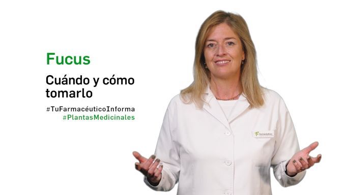 Farmaceuticos_'s tweet photo. Fucus, cuándo y cómo tomarlo. 

Videoconsejo #TuFarmacéuticoInforma en #PlantasMedicinales con María Teresa Ramírez-Sáenz de @COFJaen 

Una iniciativa de @Farmaceuticos_ y @Medicina_TV con la colaboración de @ArkopharmaEsp 

📽️ https://t.co/1sIhHQ2TkS https://t.co/fnqTPh0r1V
