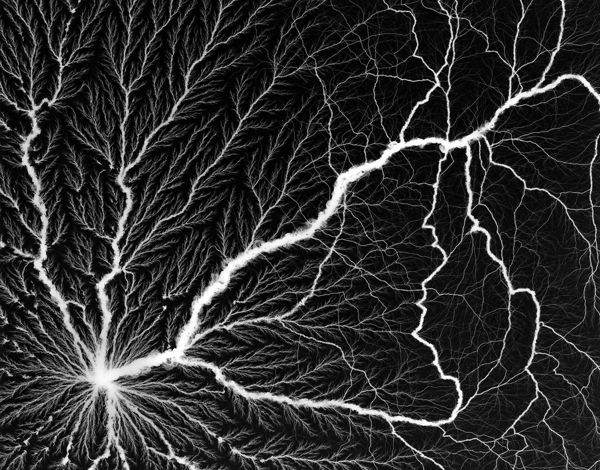 rogercoulam's tweet photo. A unique silver print from 2008. Made with a Lichtenberg figure https://t.co/bpraAk1LJ2