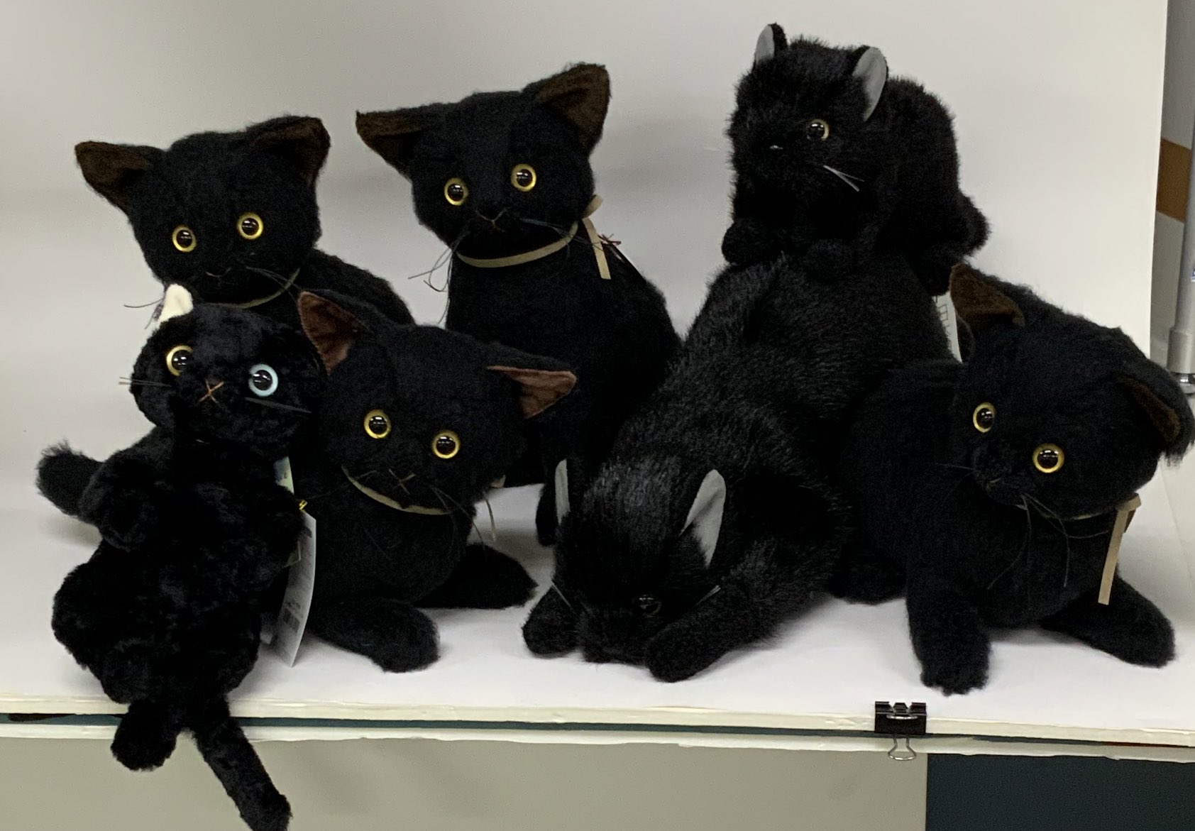 黒猫 童心 ぬいぐるみ ねこ ネコ 猫 クロネコ L 童心 日本製リアルシリーズ ぬいぐるみ 猫 ネコ