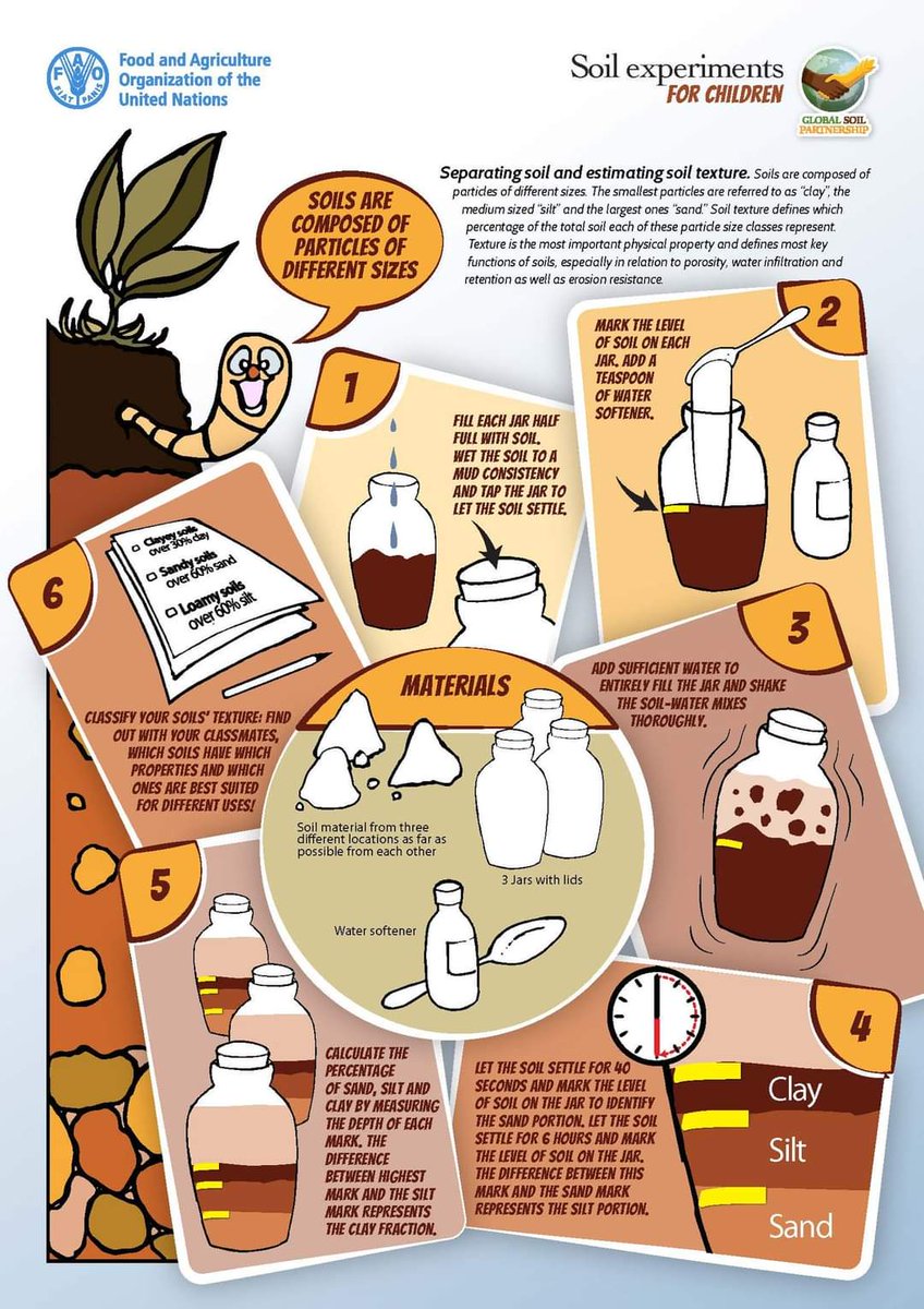RonaldVargasJob's tweet photo. Calling on children and their families to try out these fun and easy experiments with #Soils !! 

Children may be surprised to learn that #soils are the basis for life on Earth🌎! #SoilHealth #GlobalSoilPartnership

👉🏼 https://t.co/HJ9FoSLWi8 https://t.co/6MsGqT5hQc