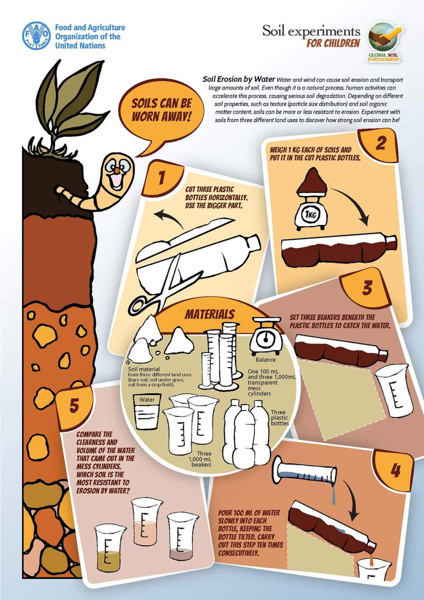 RonaldVargasJob's tweet photo. Calling on children and their families to try out these fun and easy experiments with #Soils !! 

Children may be surprised to learn that #soils are the basis for life on Earth🌎! #SoilHealth #GlobalSoilPartnership

👉🏼 https://t.co/HJ9FoSLWi8 https://t.co/6MsGqT5hQc