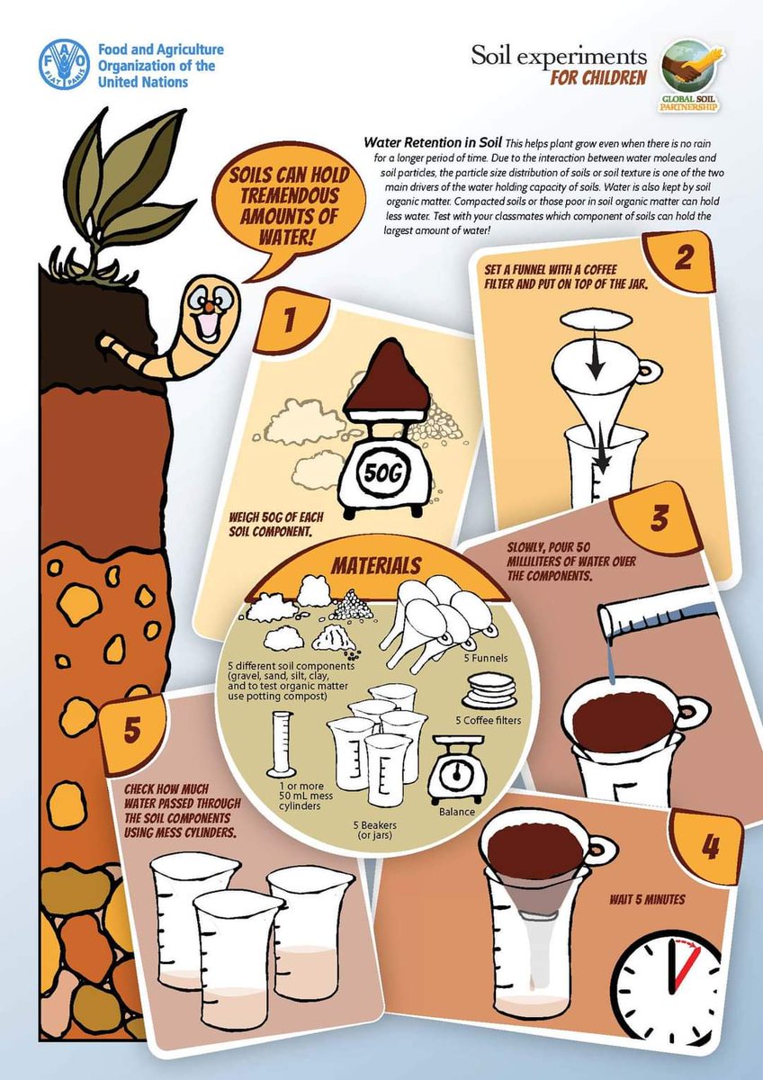 RonaldVargasJob's tweet photo. Calling on children and their families to try out these fun and easy experiments with #Soils !! 

Children may be surprised to learn that #soils are the basis for life on Earth🌎! #SoilHealth #GlobalSoilPartnership

👉🏼 https://t.co/HJ9FoSLWi8 https://t.co/6MsGqT5hQc