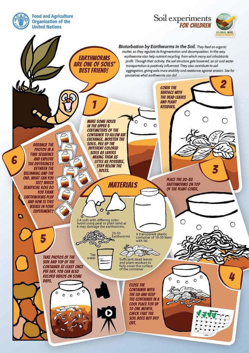 RonaldVargasJob's tweet photo. Calling on children and their families to try out these fun and easy experiments with #Soils !! 

Children may be surprised to learn that #soils are the basis for life on Earth🌎! #SoilHealth #GlobalSoilPartnership

👉🏼 https://t.co/HJ9FoSLWi8 https://t.co/6MsGqT5hQc
