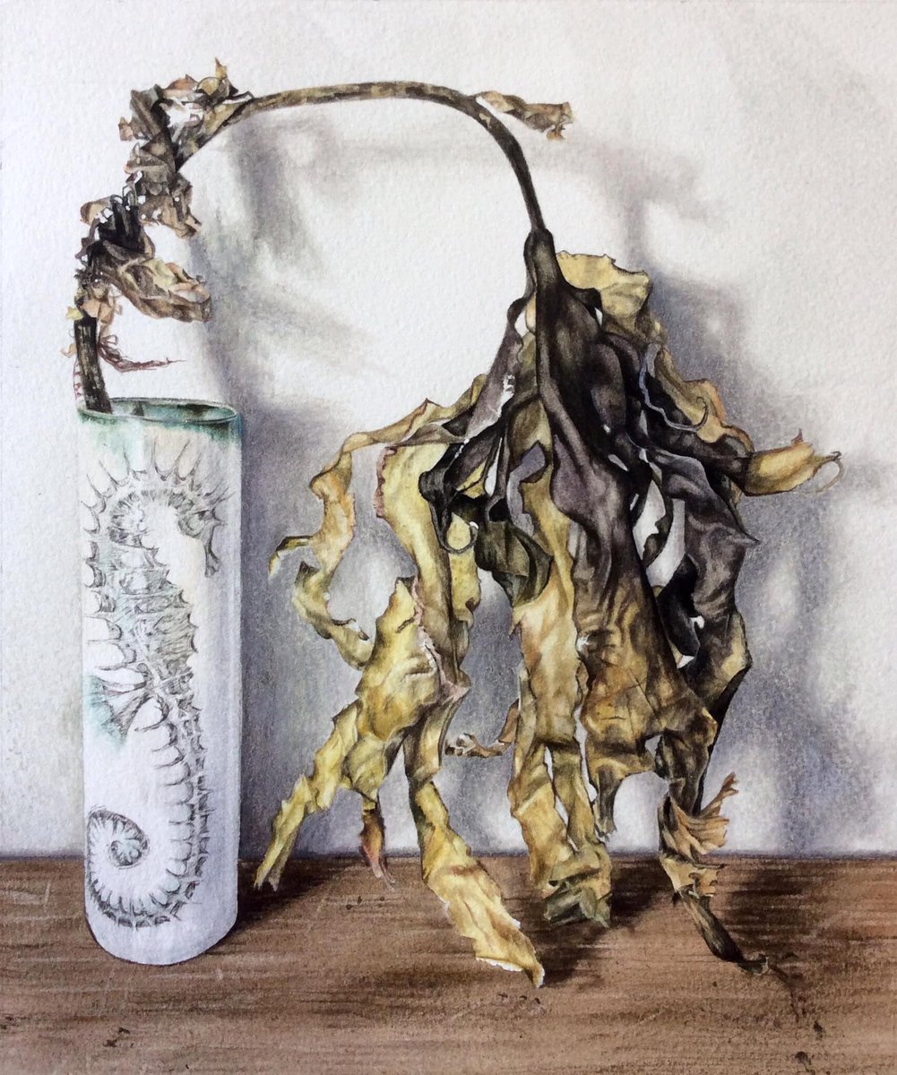 clairesparkes1's tweet photo. Delighted to hear that my #painting ‘Ocean Flower’ has been selected for the Annual #Exhibition of @MarineArtists @mallgalleries 22 Sep - 1 Oct
#exhibiting #oceanflower #seaweed #seahorse #marineart #watercolours #figurative #narrative #watercolourpainting #clairesparkes #artwork https://t.co/yWM9ypnQPg