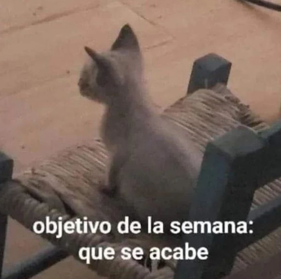 skereunpesado's tweet photo. https://t.co/LPBkUdjUOK