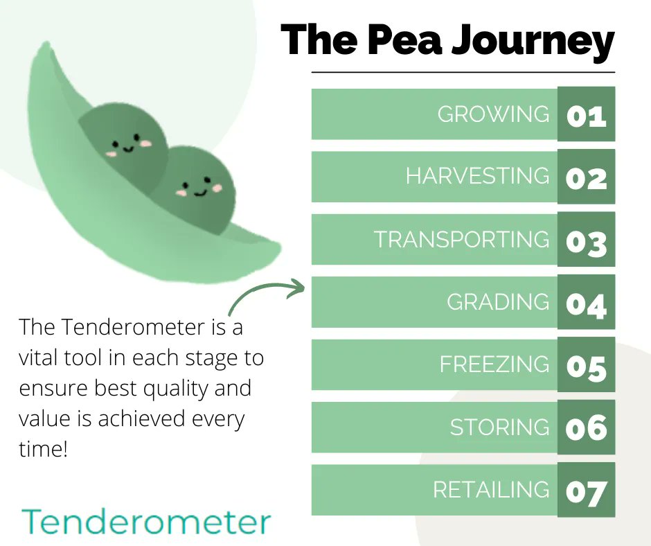 PeaTenderometer's tweet photo. The Pea Journey!

Each Pea goes through a journey, from growing all the way through to retailing!
Our Tenderometer is a vital tool in the process to ensure best quality &amp; value. 

See the Pea journey from start to finish ⬇️
https://t.co/gvQDFprs4v 

#peajourney #tenderometer https://t.co/jDRPg3Rs9M