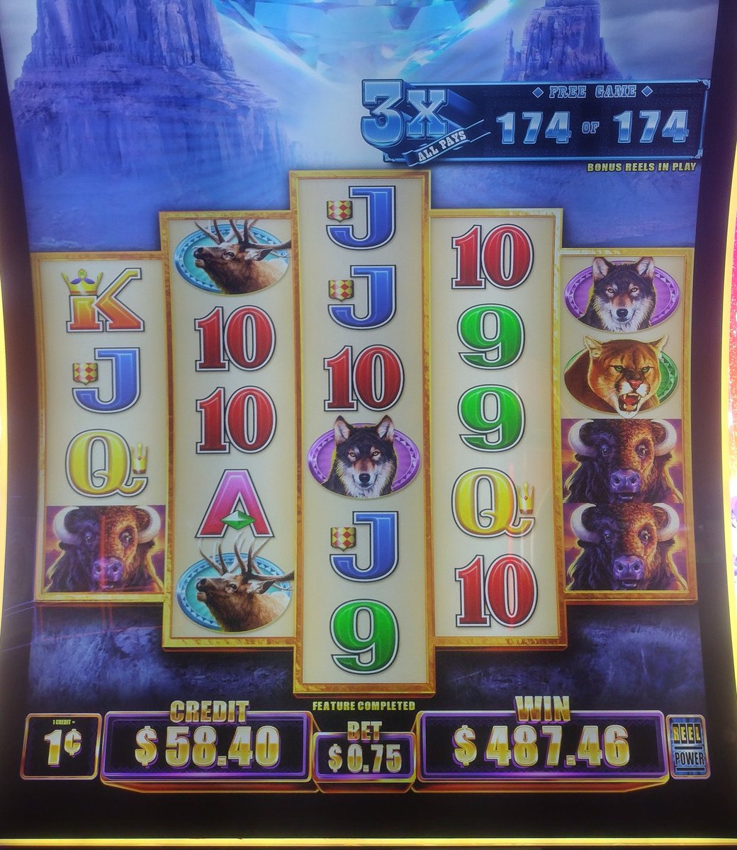 APkid7's tweet image. Another day at the office
Buffalooooooo.