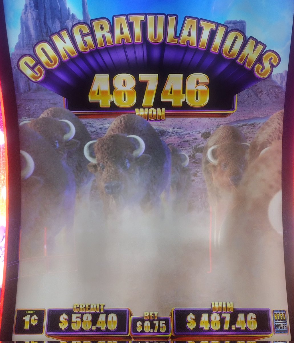 APkid7's tweet image. Another day at the office
Buffalooooooo.