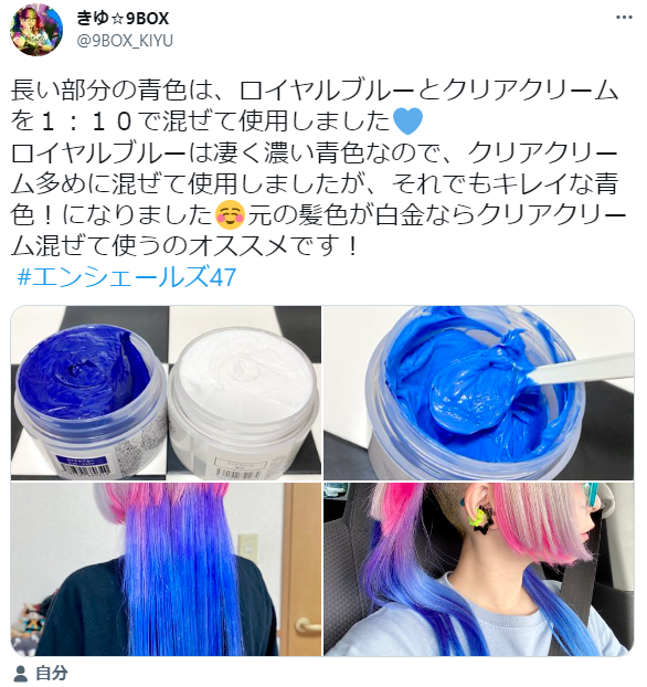 限定モデル エンシェールズ ロイヤルブルー fawe.org