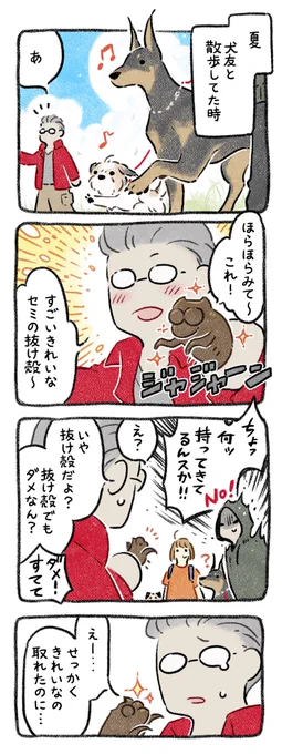 夏の思い出 1/2
#漫画が読めるハッシュタグ 