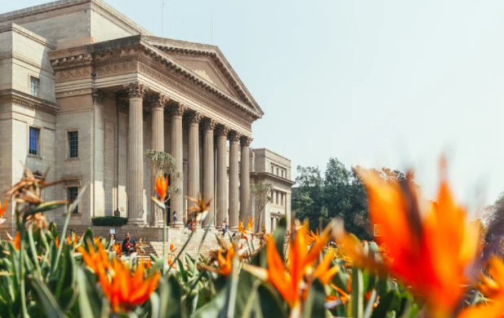 L2Bcoza's tweet photo. Plans to build 2 new universities and more colleges in South Africa https://t.co/yODxx2AHAW

#education #university #universities #college #colleges #southafrica #buildingeducation #infrastructure #developments https://t.co/GZtLRQFSKP