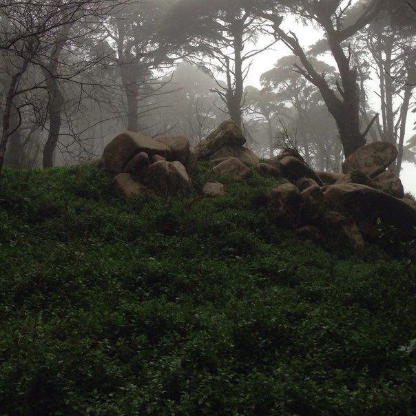 AcademiaAesthe1's tweet image. Sintra, Portugal.