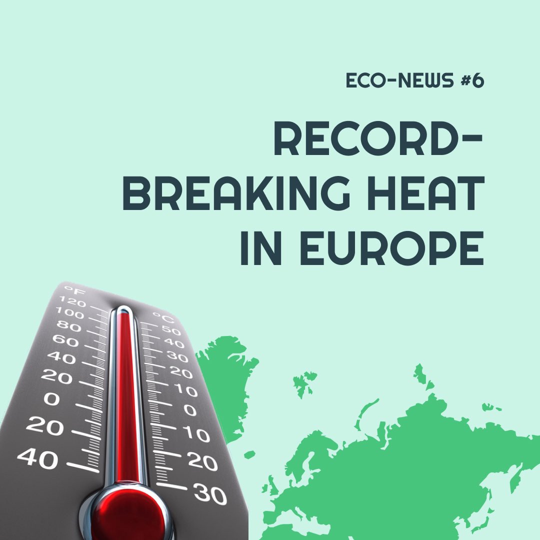 WoodLandEco tweet media