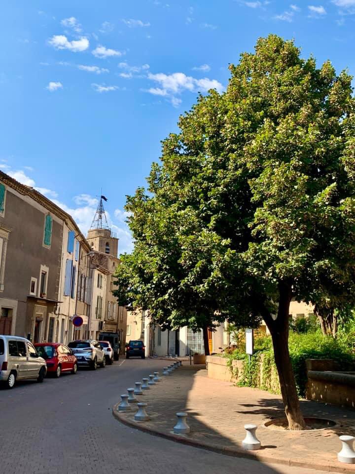 villedebessan's tweet photo. #VISITE #GUIDEE #BESSAN
Avec l'agglo et l'office de tourisme, Bessan comme vous ne l'avez jamais vu. Visite guidée ce 18 août. Et c'est gratuit ! Plus d’informations et réservations au 04 67 98 36 40. https://t.co/ccaj2uAEo2