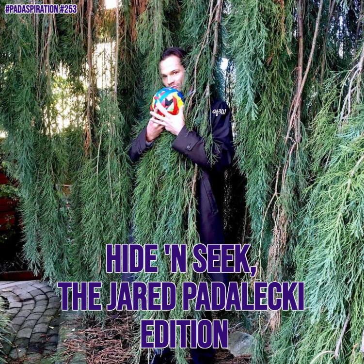 Franki3W's tweet photo. #PadaSpiration #253
Hide 'n Seek, the #JaredPadalecki edition.
#Walker #WalkerFamily #SPNFamily #Supernatural @jarpad #hideandseek #hiding #Peekaboo #Puppylecki #SPNTapeBall #Padadorkable #WeLoveYouJaredPadalecki #JaredMakesUsSmile #PadaGames #JaredPadaleckiAppreciationDay https://t.co/EOiQwhsXT7