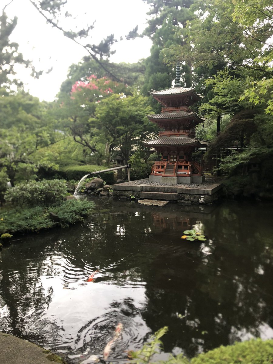 senyoji's tweet photo. 角田山妙光寺にて、盂蘭盆の手伝いをさせていただきました。
お寺や地域によって盆の迎え方は多様であることを知り、お寺を護る大切さを学ばせていただきました。

＃角田山 https://t.co/OETSUcQfxC