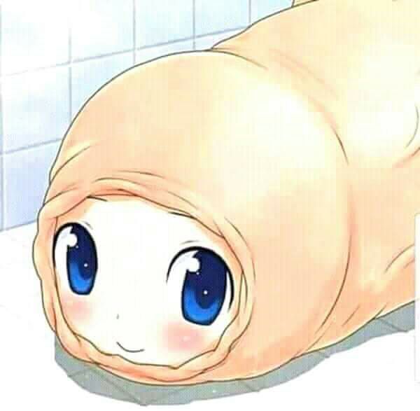 Justin Whang 🐙 tweet media