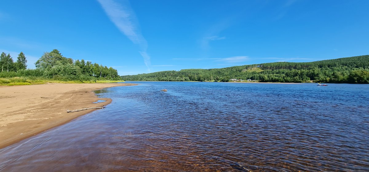 Na gut, zumindest ein kleines bisschen Natur ist noch drin.

Bleibt uns solange treu mit Eurer Aufmerksamkeit für saveworld4free.com!