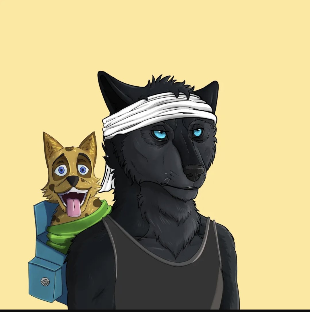 cryptosofFAST's tweet photo. @AlphaShares I got me this one, like the aqua eyes https://t.co/GXhFGLLYsR