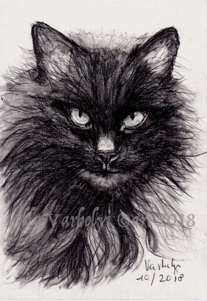 LillaVarhelyi's tweet photo. Schwarze Katzen sind schön, geheimnisvoll und wunderbar!🐈⬛❤️
#cat #cats #catlovers #black #blackcat #blackcats #animal #catsoftwitter #catlife #meow #catsoftheday #pet #pets #katze #katzen #katzenliebe #schwarzekatze #charcoal #meinekatze #kleineKunstklasse #catstudy #kohleskizze https://t.co/ISlnTZZKnC