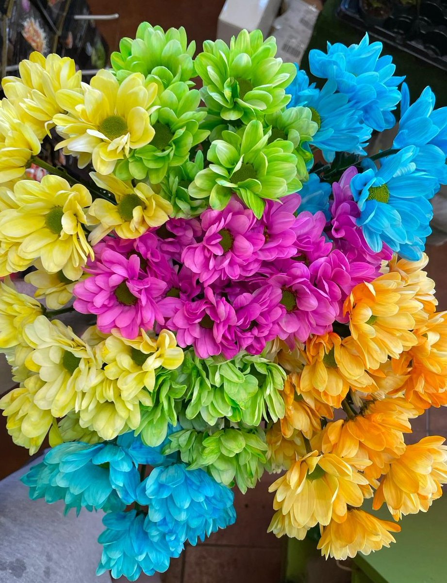 AmazoniaLeganes's tweet photo. Buenos días! Y feliz miércoles con estos colores tan veraniegos☺️ https://t.co/dr5Ax6NbVG