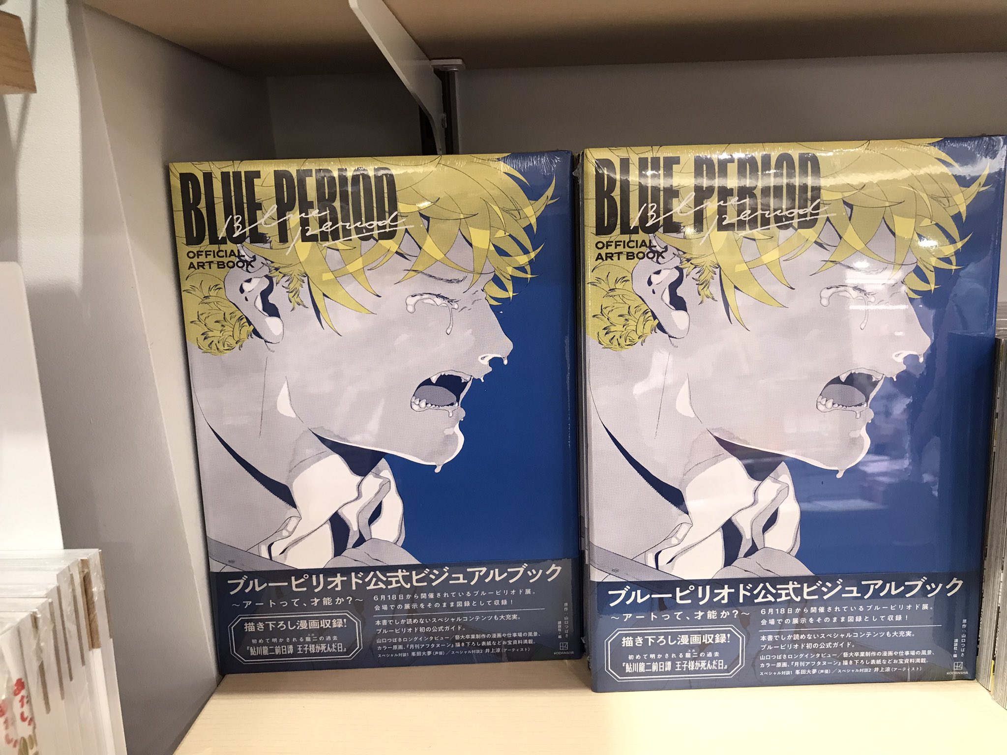 ブルーピリオド公式ビジュアルブック　スペシャルカバーVer. 紀伊國屋書店 新宿本店 on X: 