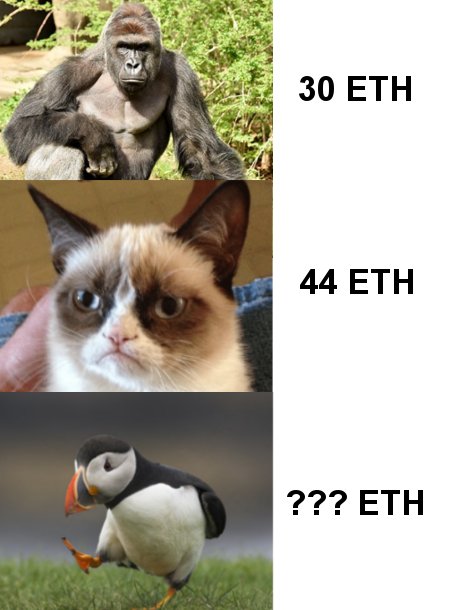 PuffinUnpopular's tweet photo. How much will the viral puffin meme that I photographed go for as #NFT ? Check it out on @foundation !!  https://t.co/vX2ThMPCLy #Memes  #Foundation #NFTCommunity #NFTs #NFTartwork #nftphotographer #NFTartist https://t.co/tJerhSTJUo