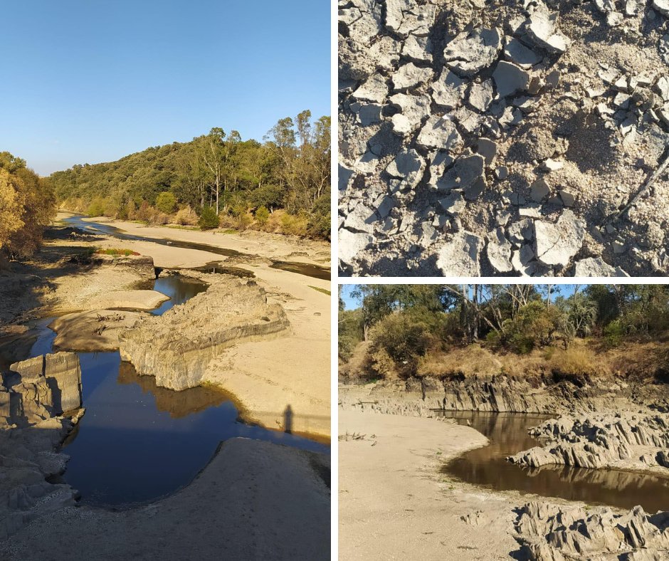 CiimarUp's tweet photo. #edgeomics project in Alentejo comes across a frightening scenario of intense drought in our country. The affluents of the Tejo River are practically without water, the soils are completely dry and the loss of biodiversity is evident.

#CIIMARresearch #freshwater #climatechange https://t.co/eYx48M4ZcC
