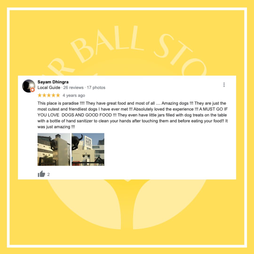 furballstory's tweet photo. The words that keep us going!
#furballstory #fbs #dogservices https://t.co/yCg6Qejcrr