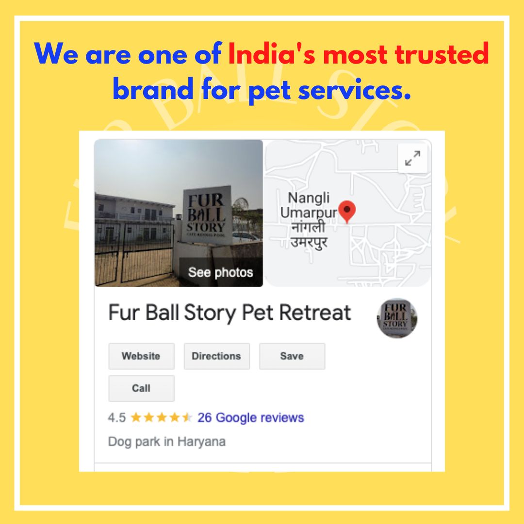 furballstory's tweet photo. The words that keep us going!
#furballstory #fbs #dogservices https://t.co/yCg6Qejcrr