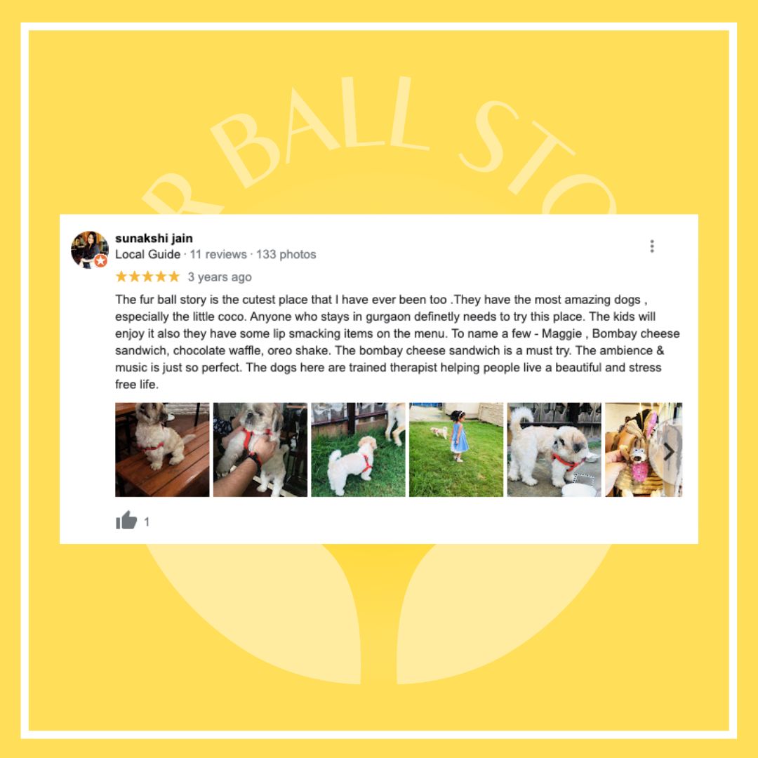 furballstory's tweet photo. The words that keep us going!
#furballstory #fbs #dogservices https://t.co/yCg6Qejcrr