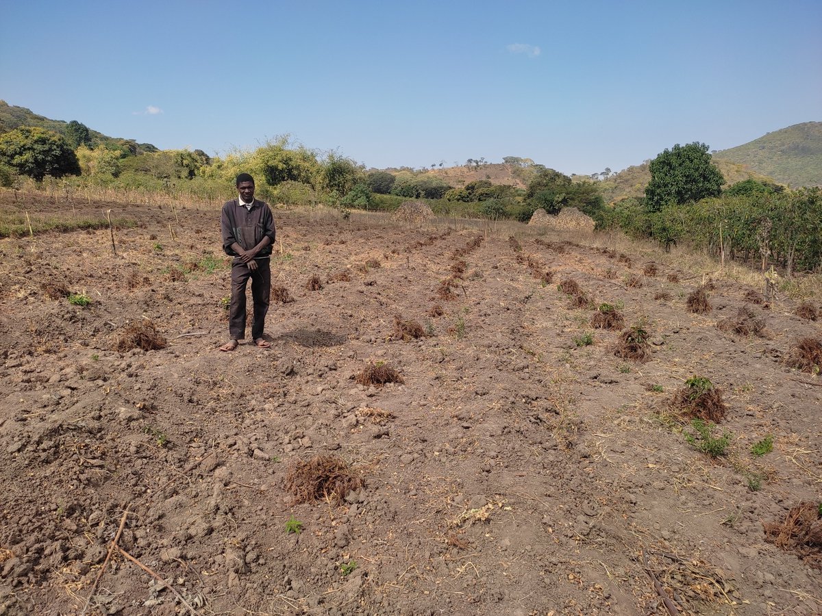 SolidaridadECA's tweet photo. 2/5 In January Mr. Mgala received 1,800 ‘Compact Variety’ coffee seedlings from the Tanzania Coffee Research Institute (#TaCRI), one of our project partners to establish his coffee farm. Mr. Mgala also benefited from training on coffee farm establishment and management practices. https://t.co/vfa9S42K3K