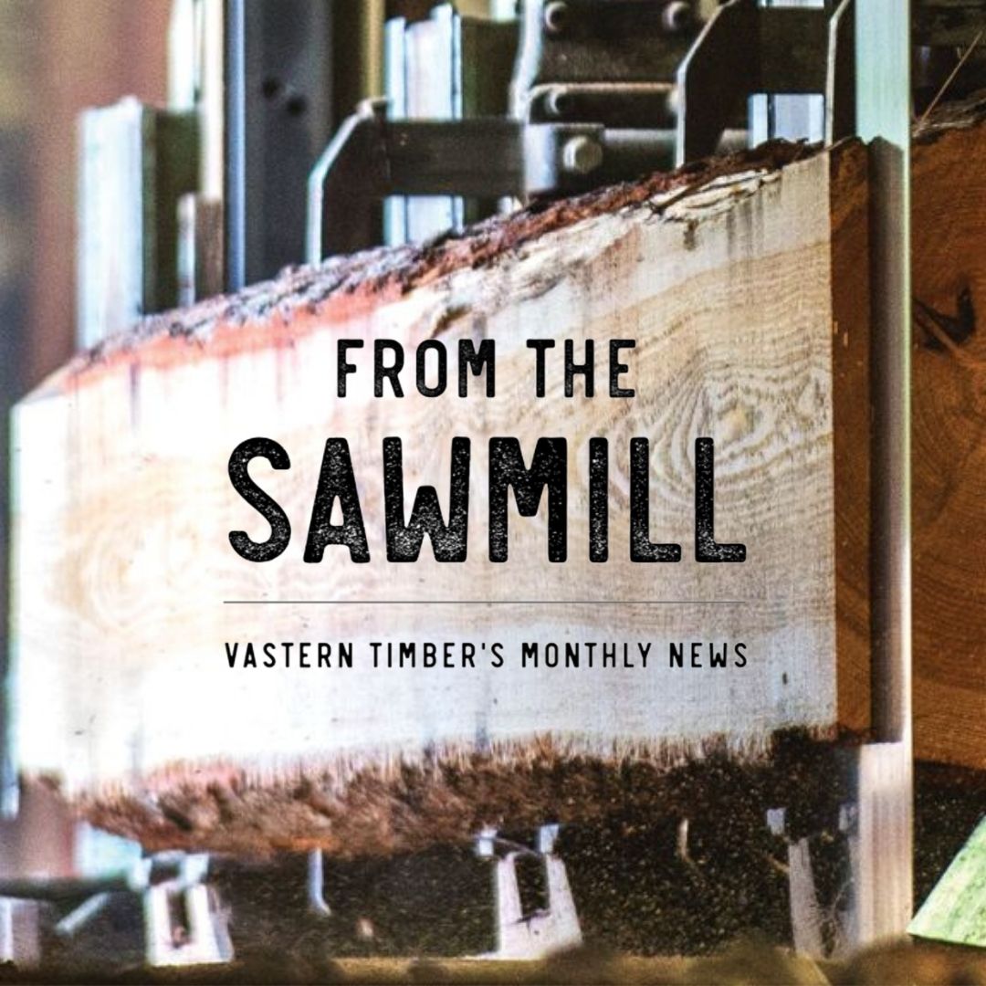 VasternTimberUK's tweet photo. For more of the best British timber news,
All about woods, trees, forests and more...
Sign up for our newsletter 'From the Sawmill'
https://t.co/KNla5cWRrb
#Newsletter #Timber #UKTimber #Woodland #Forest #Sawmill #SustainableConstruction #GrownInBritain #ASBP https://t.co/sZv6dm0t5M