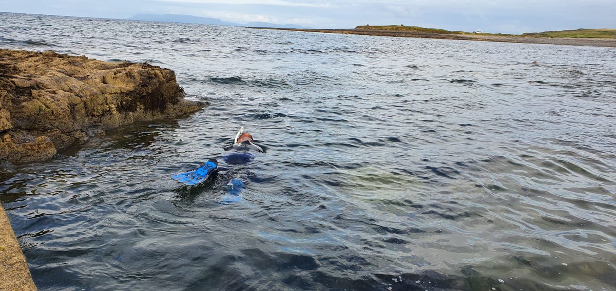SnorkellingIrl's tweet photo. Heading out at #pollgorm in near #easkey #snoeklling #snorkellingirl https://t.co/wXKqW1Gz7E