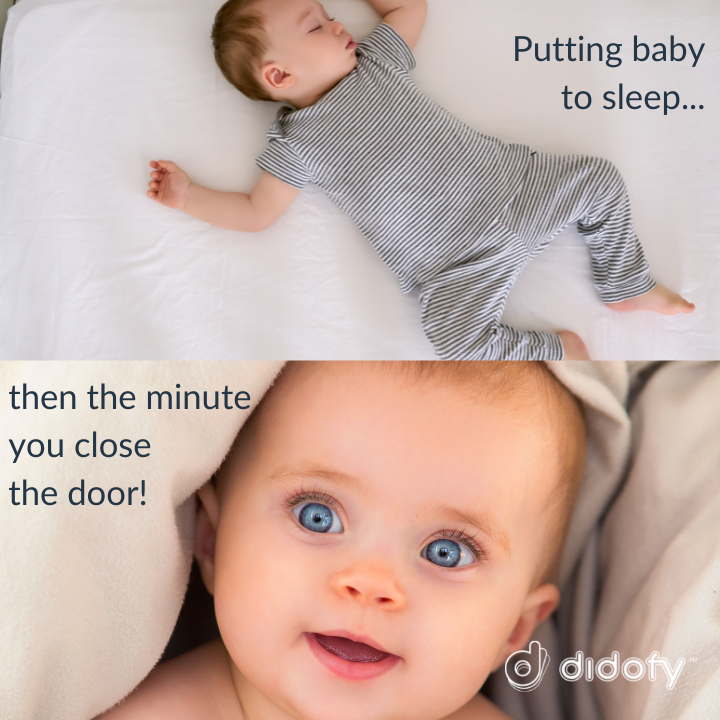 Didofy tweet media