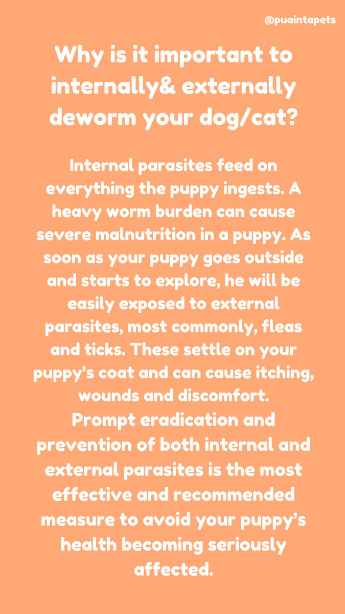 PuaintaPets's tweet photo. Why is it important to internally& externally deworm your dog/cat? πΎ
#petcare #dogcare #dogs #dogsph #catcare #catsph #doghealth #pethealth #CatHealth #deworming #puppy #puppydog #Puainta #puainta https://t.co/YlY2wBGSqY