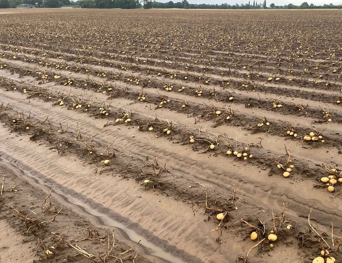 crop4sight's tweet image. Very heavy localised storm last night. Ouch !