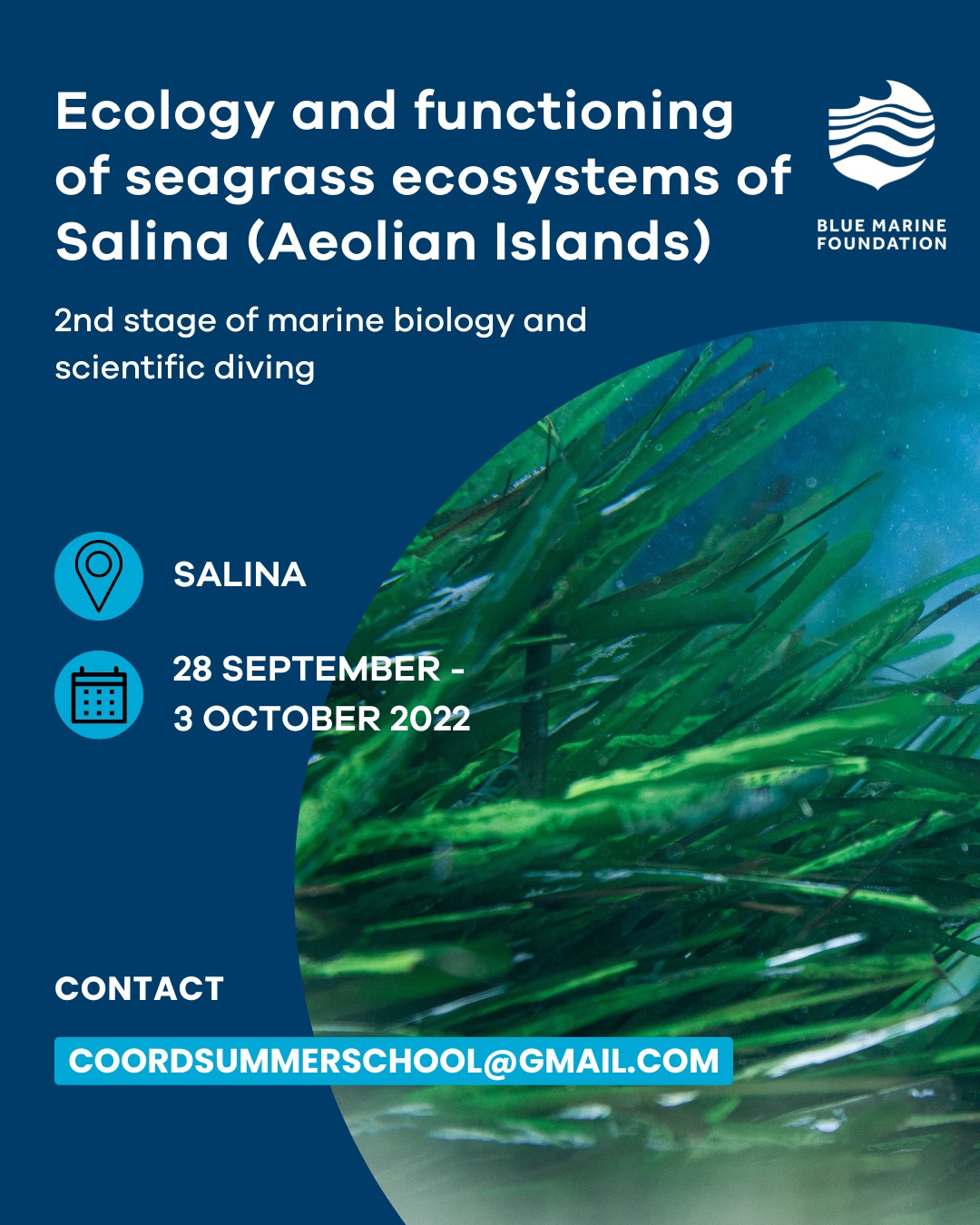 blue-marine-foundation-on-twitter-this-six-day-summer-school-in-the