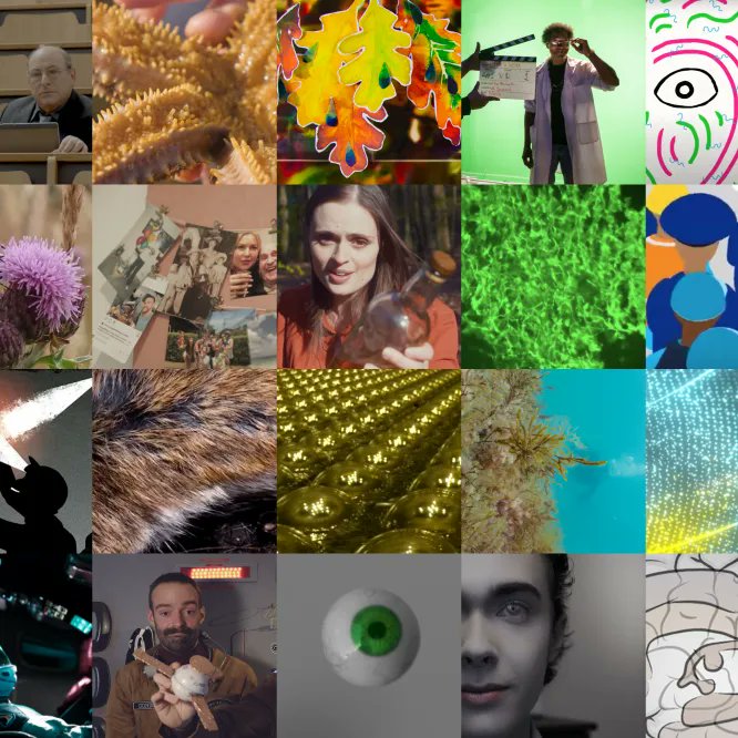 Bristol Science Film Festival tweet media