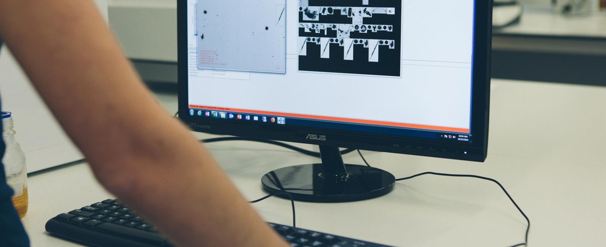 VLIZ recruits: a biodiversity science officer in the framework of the <a href="/HorizonEU/">Horizon Europe 🇪🇺</a> projects Marco-Bolo, MARBEFES and iMagine. Apply no later than September 11. More information 👉🏾bit.ly/3w6q5Dh #jobsatvliz #marineobservationcentre #biodiversity