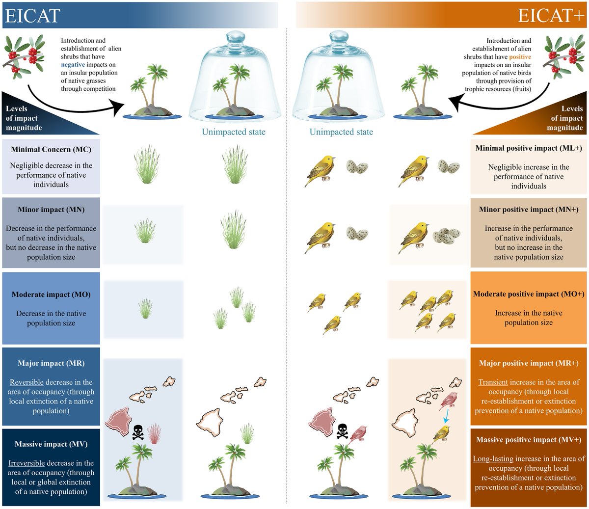 PLOS Biology tweet media