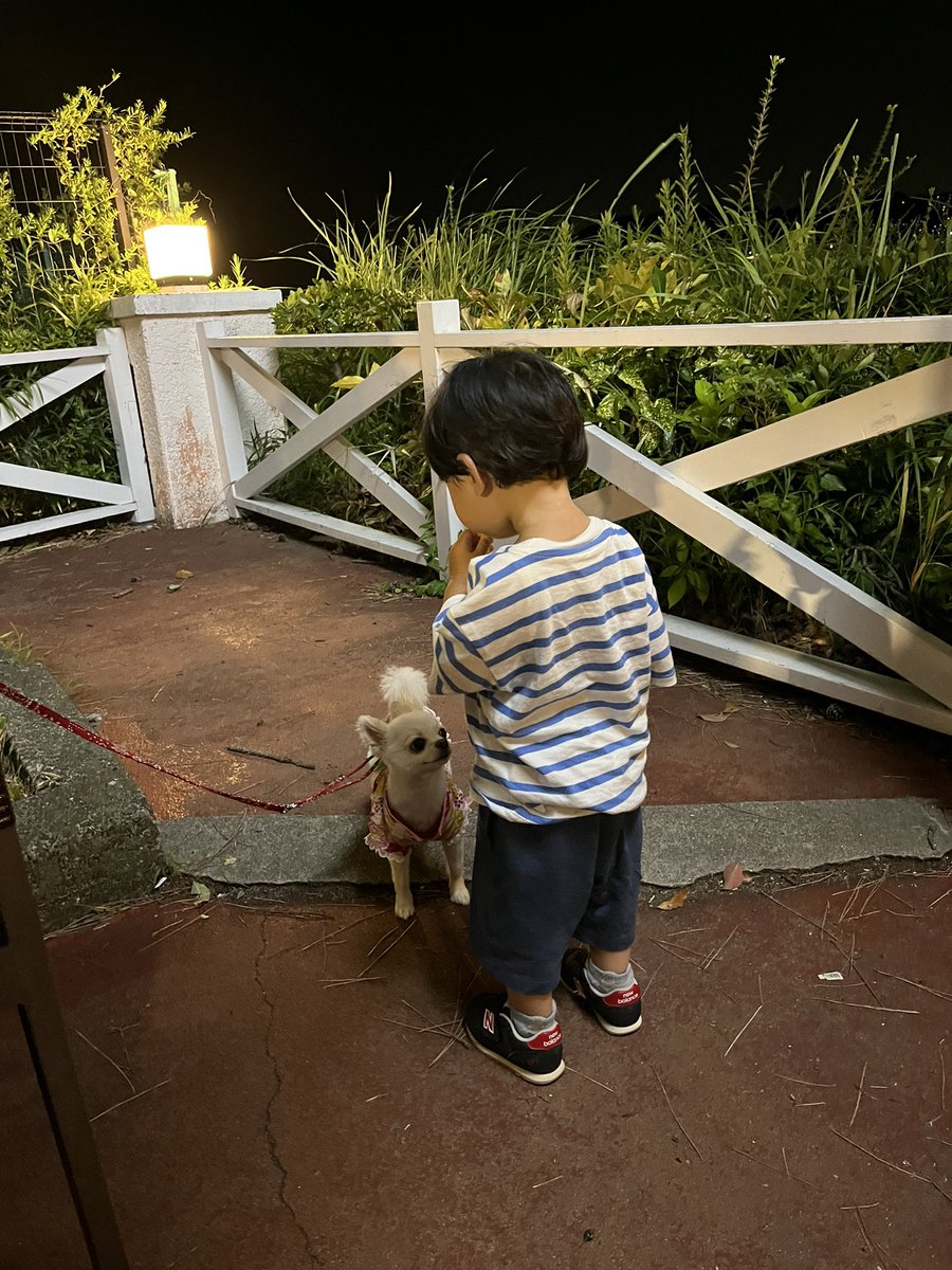 A___pom_pom's tweet photo. 唯一のお友達だち🐶🧒🏻 https://t.co/vZcC5bee2u